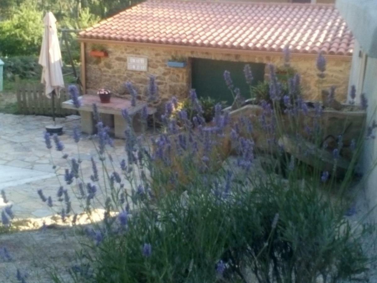 Holiday home Casa Louro *